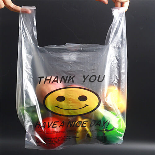 Custom Printed Plastic Shopping Bag Carrier Bag T-Shirt Bag - China  Biodegradable Shopping Bag and Plastic Shopping Bags Biodegradable price